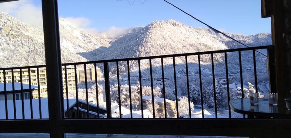 Tamara Apartment Borjomi ภายนอก รูปภาพ