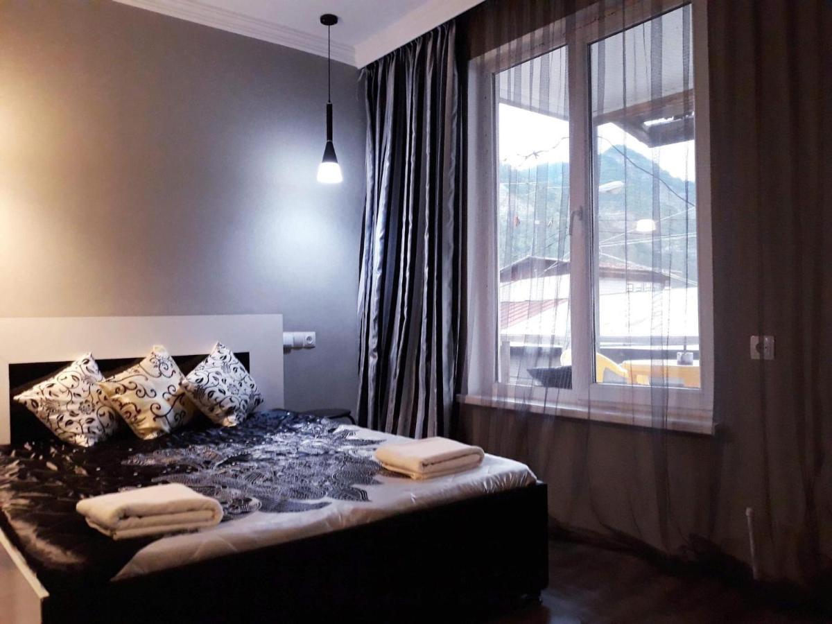 Tamara Apartment Borjomi ภายนอก รูปภาพ